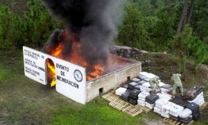 Destrucción de droga
