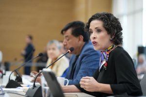 Diputada María Isabel Ortiz Mantilla