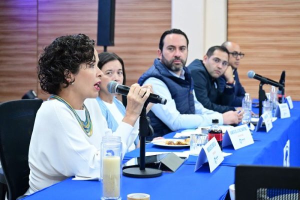 Diputada María Isabel Ortiz Mantilla
