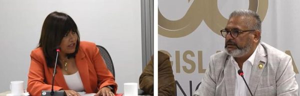 Diputada Ruth Tiscareño Agoitia y diputado Ernesto Millán Soberanes.