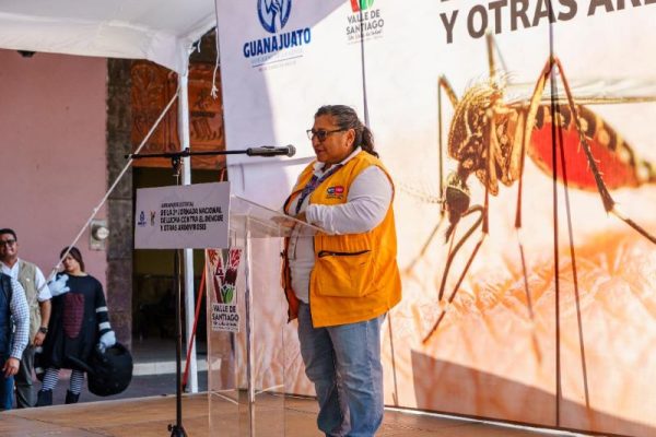 Jornada dengue