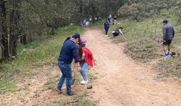 Reforestación 1