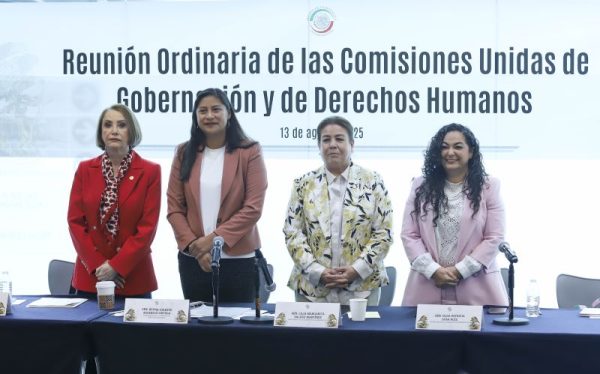 comisiones unidas