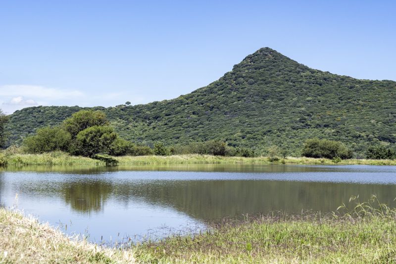Área Natural Protegida