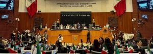 Cámara de Senadores 1