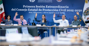 Consejo estatal de protección civil