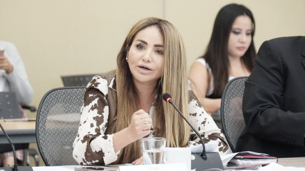 Diputada Hades Berenice Aguilar