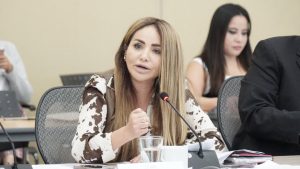 Diputada Hades Berenice Aguilar