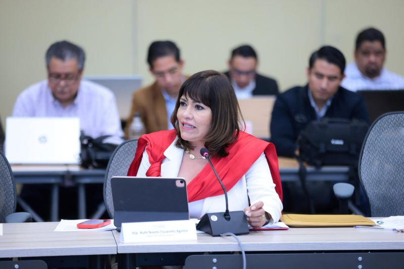 Diputada Ruth Noemí Tiscareño Agoitia