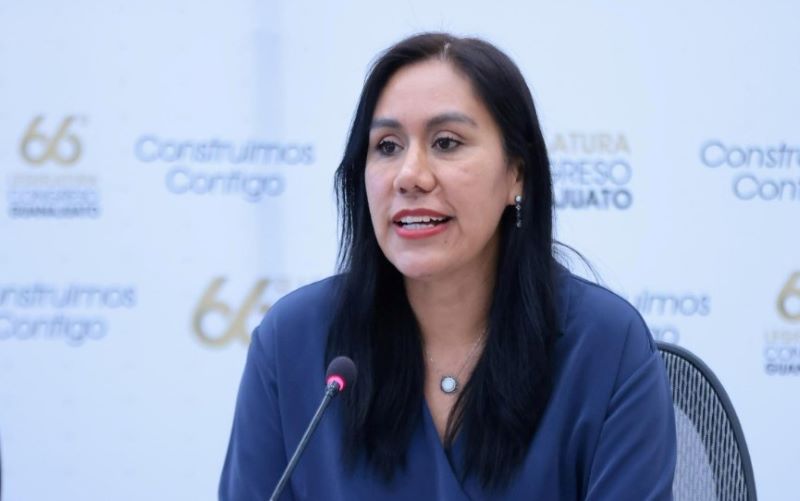 Diputada Susana Bermúdez Cano