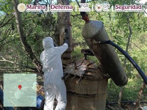 Laboratorios clandestinos en Durango.