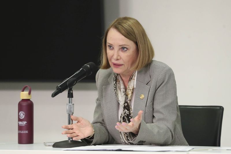 Laura Itzel Castillo Juárez, presidenta del Senado de la República.