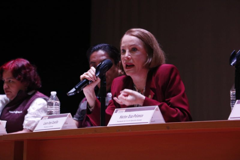 Laura Itzel Castillo Juárez