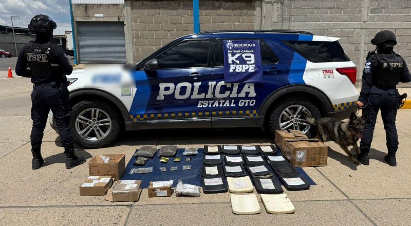 Mariguana en paquetería