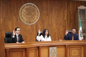 Pleno del TEEG 2IX25