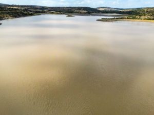 Presa Guanajuato