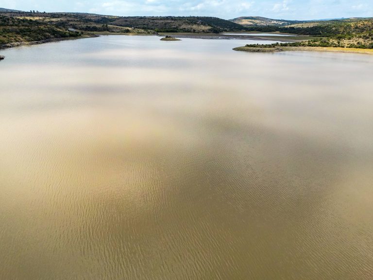 Presa Guanajuato