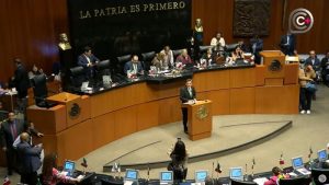 Sesión Senado de la República.