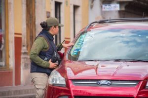 Verificación vehicular