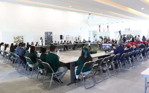 Análisis leyes de niñas