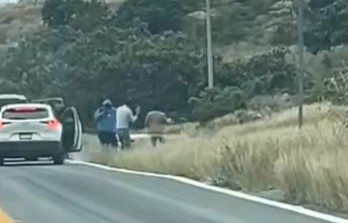 Asalto en carretera Guanajuato-Juventino Rosas