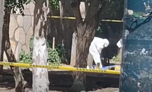Asesinado en Cañada del Real