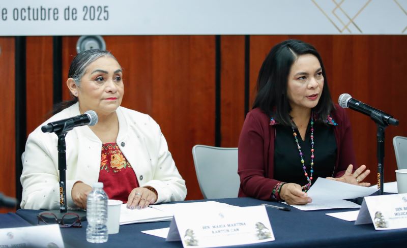 Comisión de cultura del Senado