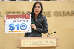 Diputada Susana Bermúdez Cano.