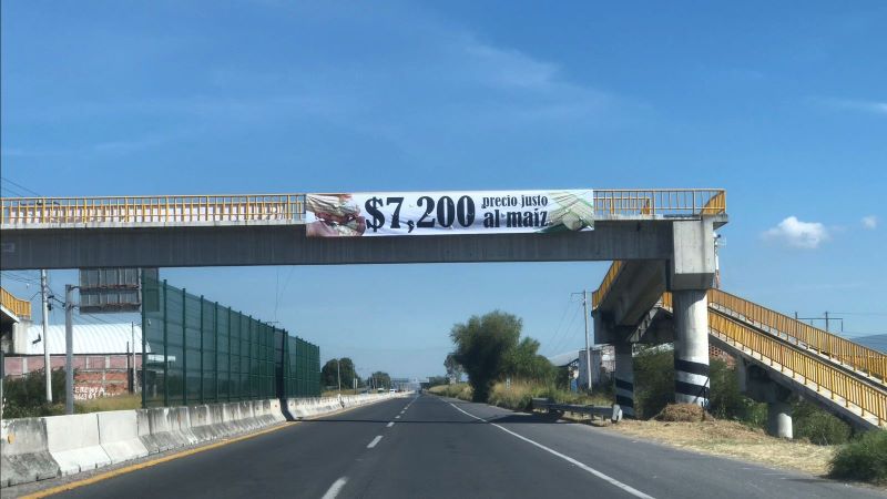 Espectacular precio maíz