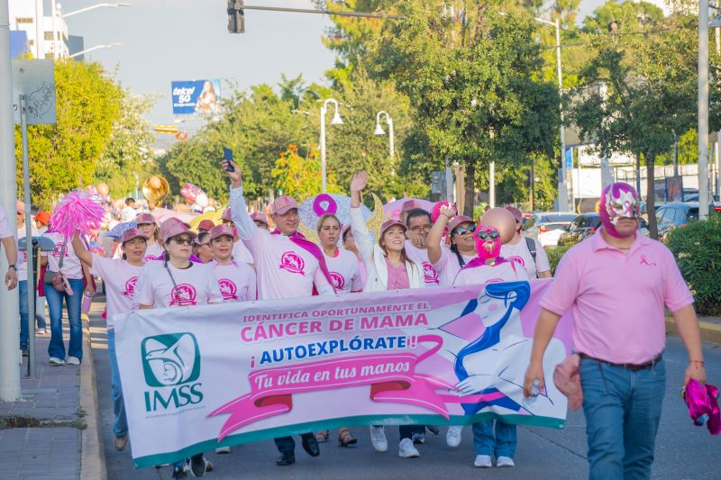 Marcha Rosa IMSS