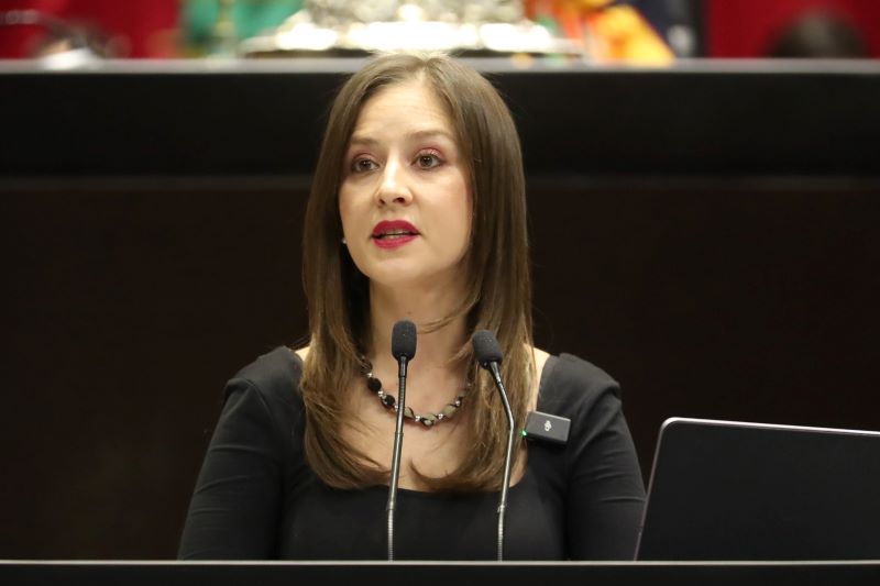 Diputada Anayeli Muñoz Moreno