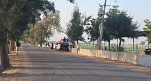 Asesinado en Salamanca