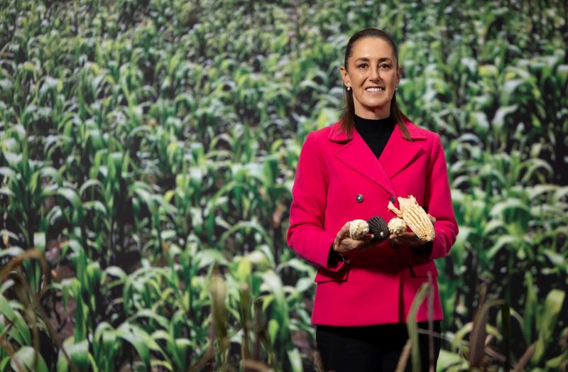 Claudia Sheinbaum Plan Maíz Nativo.