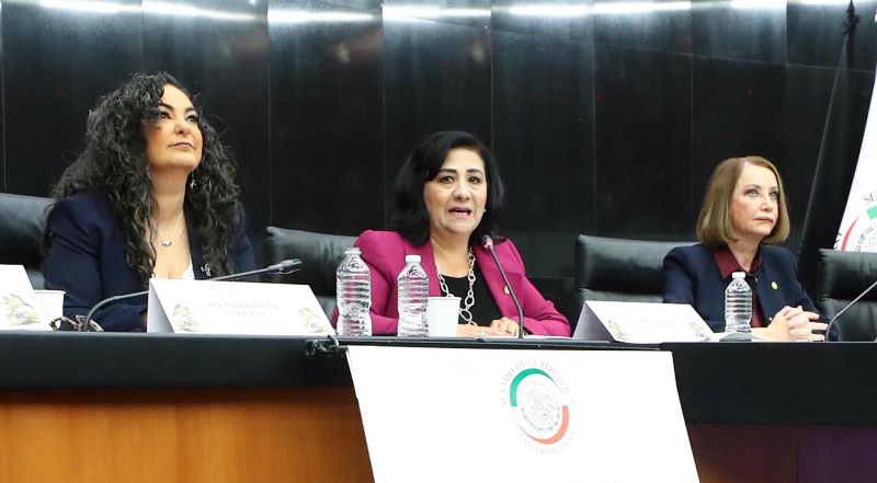 Comparecencia de la secretaria de energía, Luz Elena González Escobar.