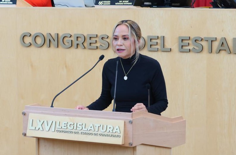 Diputada Luz Itzel Mendo González.