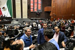 Diputados federales de Morena