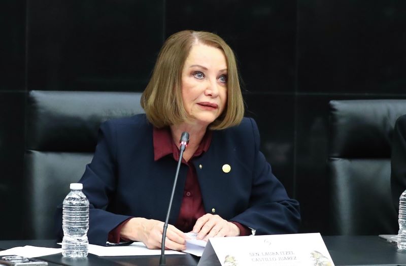 Laura Itzel Castillo Juárez