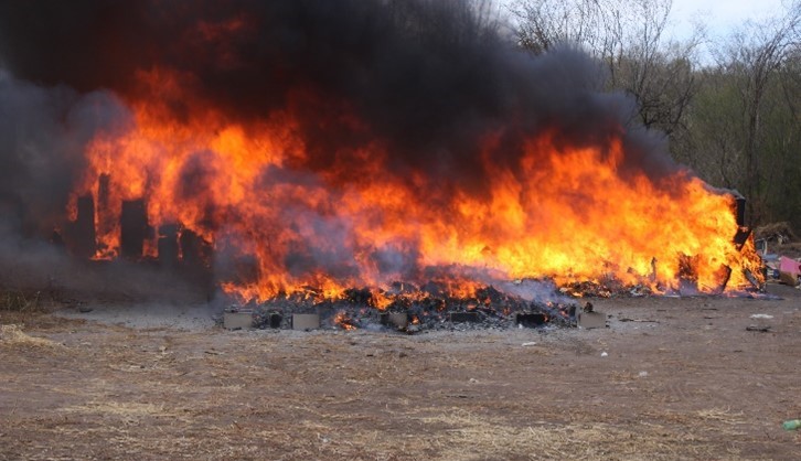 Marihuana incinerada en Sinaloa.
