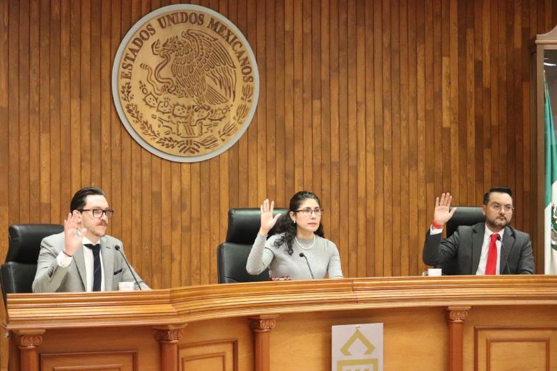 Pleno del TEEG 11XI25