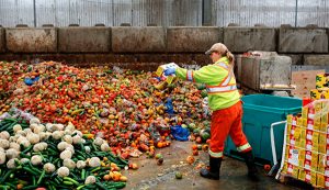Alimentos tirados a la basura.