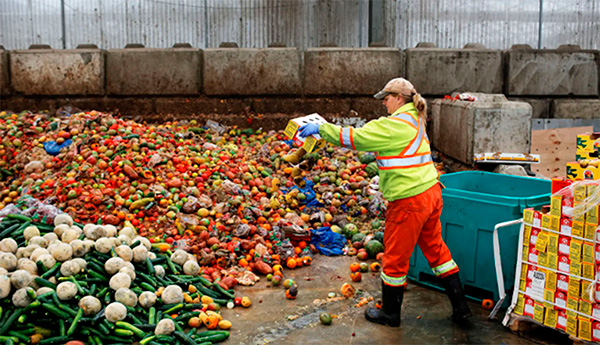 Alimentos tirados a la basura.