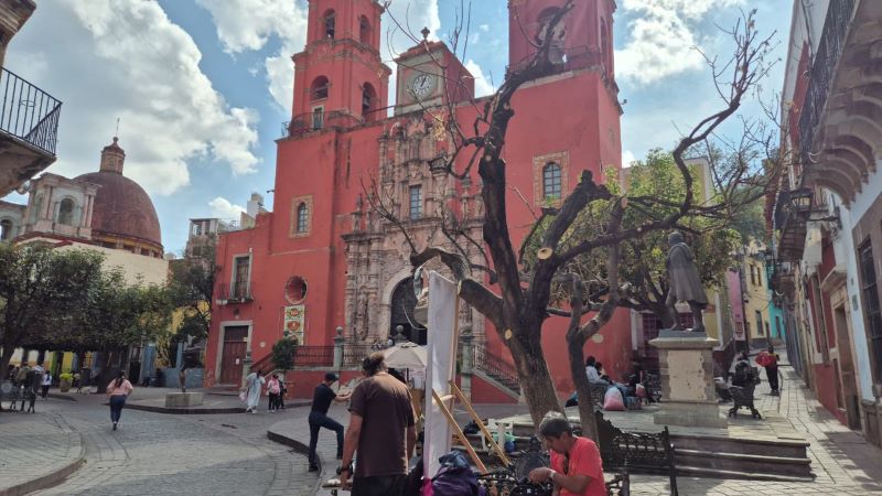 Árbol en etapa de rescate