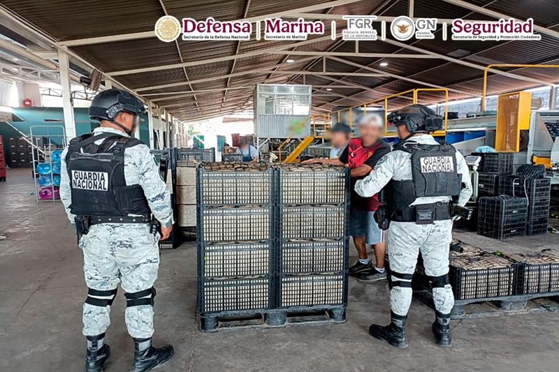 Aseguramiento