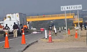 Atropellado y muerto.