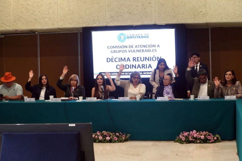 Comisión de atención a grupos vulnerables