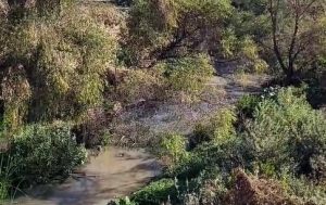 Cuerpo sin vida San José Temascatío.