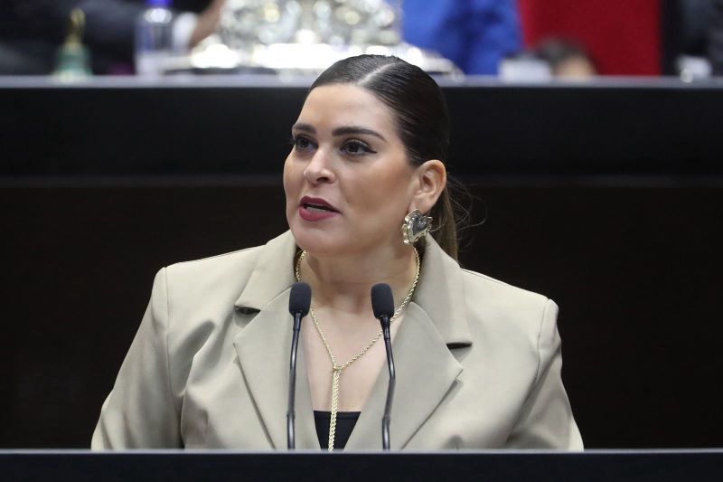 Diputada Ana Isabel González
