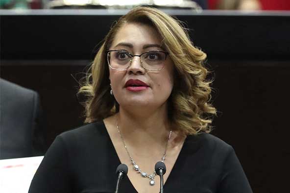 Diputada Ana Karina Rojo Pimentel.