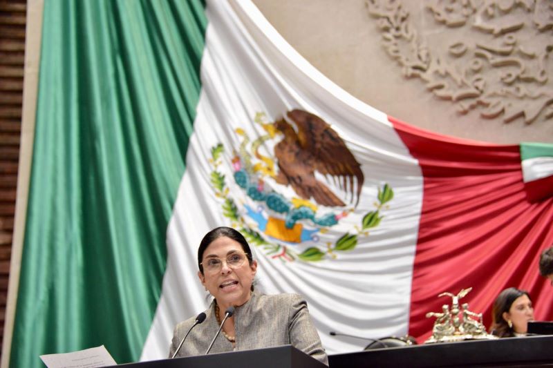 Diputada Marcela Guerra.