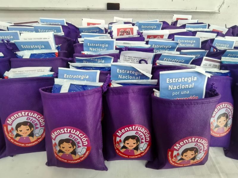 Estrategia menstruación digna.
